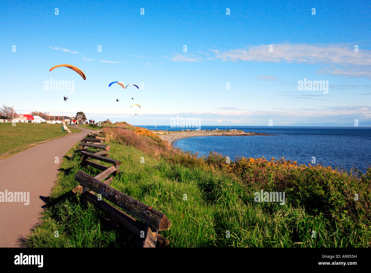 Paragliding at Clover Point Victoria Stock Photo - Alamy