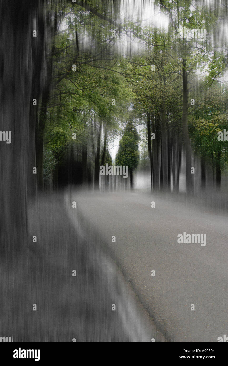 Pathway surrounded by foliage hi-res stock photography and images - Alamy