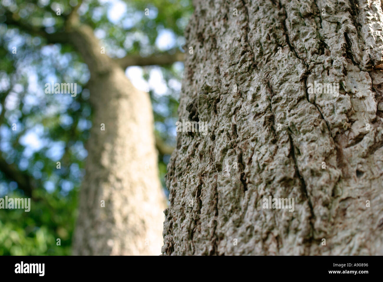 From low angle shot hi-res stock photography and images - Alamy