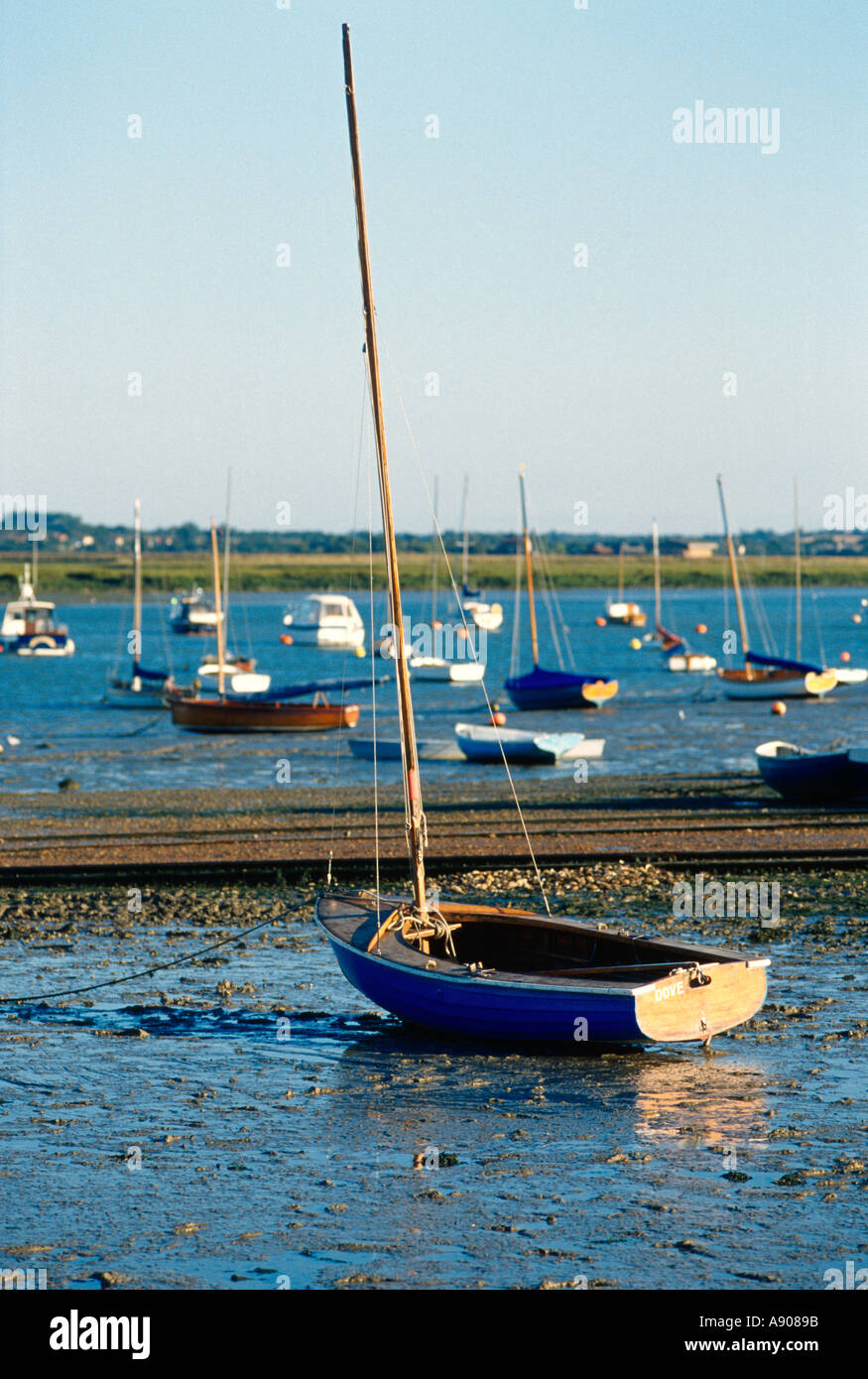 The sailing dinghy Dove ashore at West Mersea Essex Stock Photo Alamy