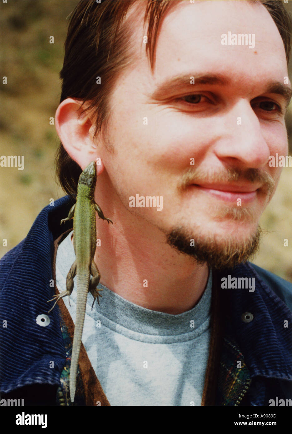 Lizard bites hires stock photography and images Alamy