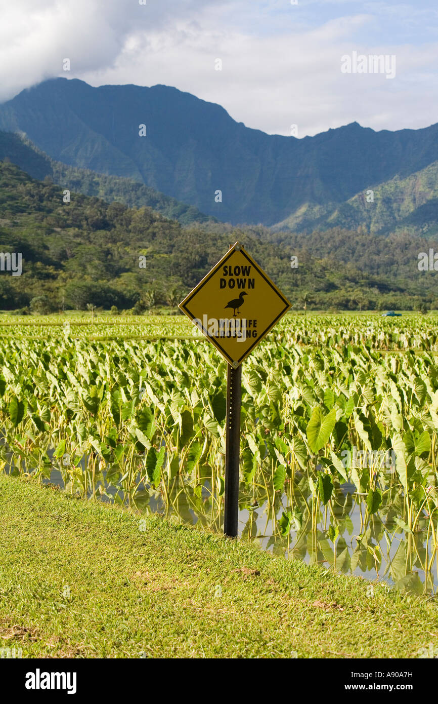 Wildlife sign in the middle of taro fields, Hanalei, Kauai, Hawaii ...