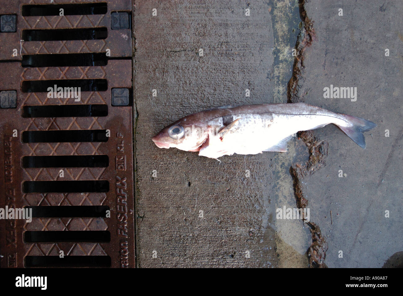 Peterhead fisherman hi-res stock photography and images - Alamy