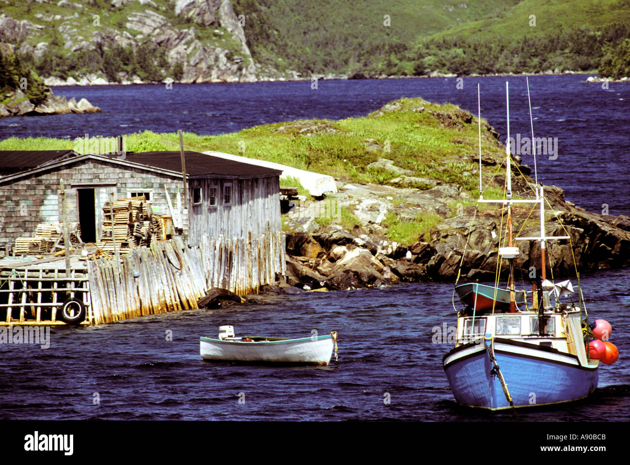 rose blanche newfoundland Stock Photo Alamy
