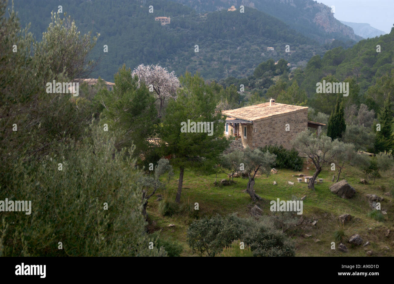 Finca in the West of Mallorca Balearic Islands Spain Stock Photo
