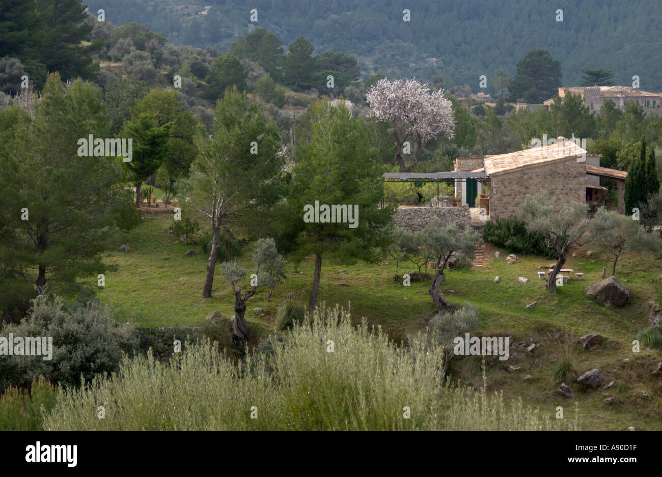 Finca in the West of Mallorca Balearic Islands Spain Stock Photo