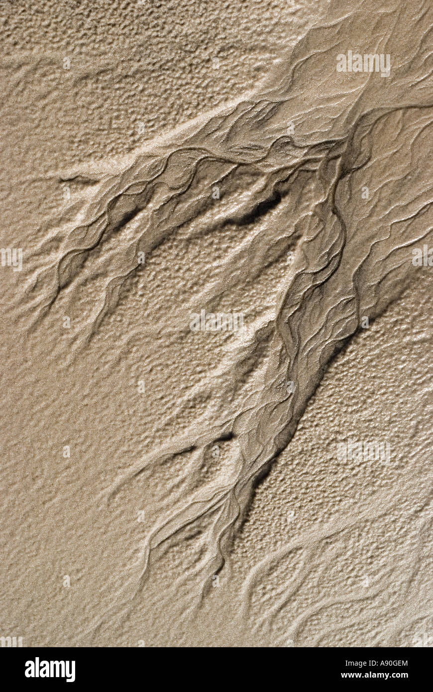 Dramatic curving lines made by the receding tide create art images on