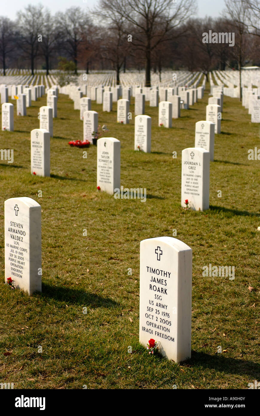 Headstones of Iraq war dead at the Arlington National Cemetery in Arlington Stock Photo
