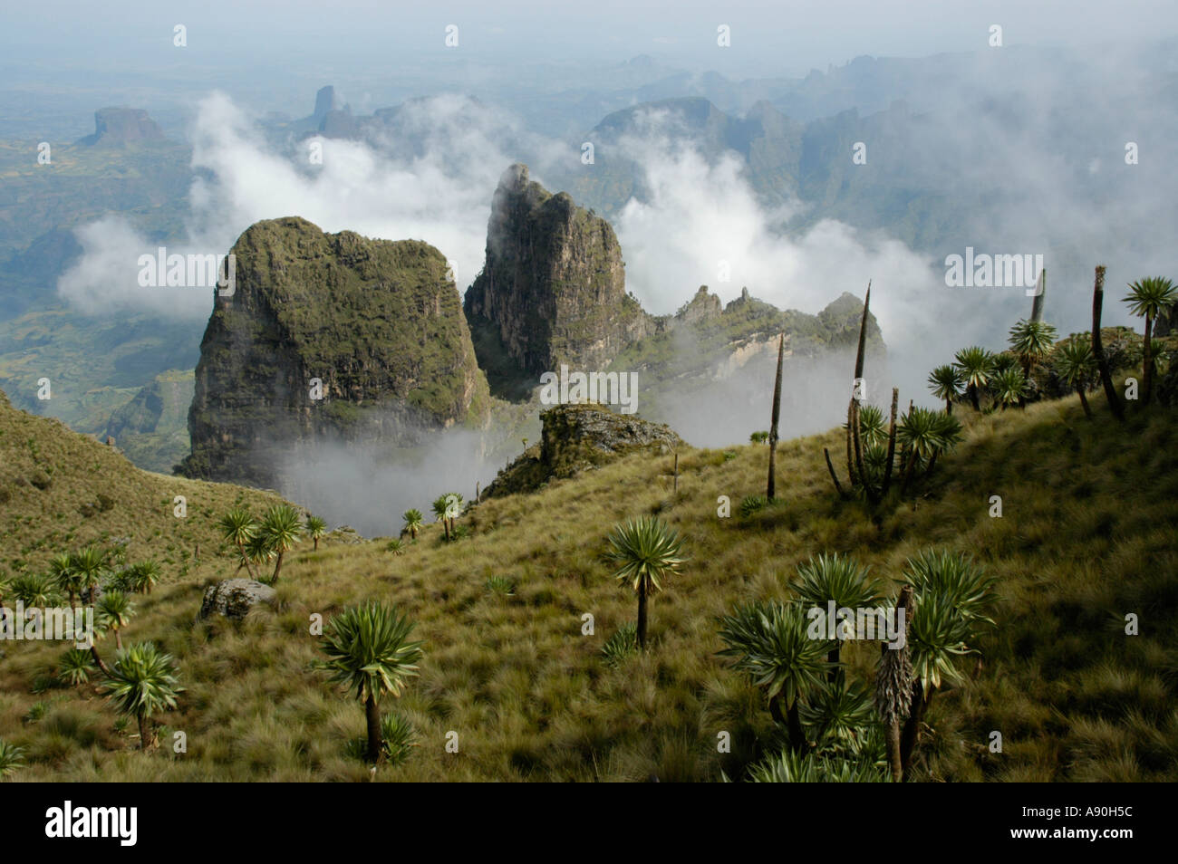 Clouds gathering around craggy mountain formations with Giant Lobelias in Semien Mountains near Debark Ethiopia Stock Photo