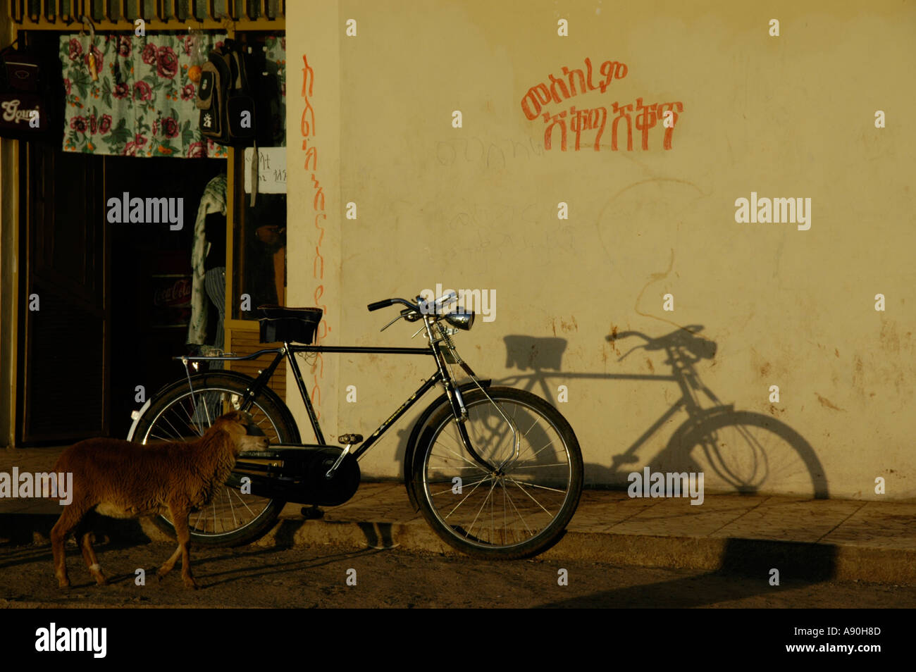 Bicycle and its shadow with a sheep in front of a wall with Amharic script Inda Selassie near Aksum Ethiopia Stock Photo