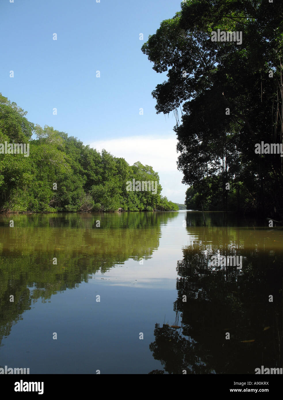 Tacarigua Lagoon National Park, located in Miranda State on the northern coast of Venezuela Stock Photo