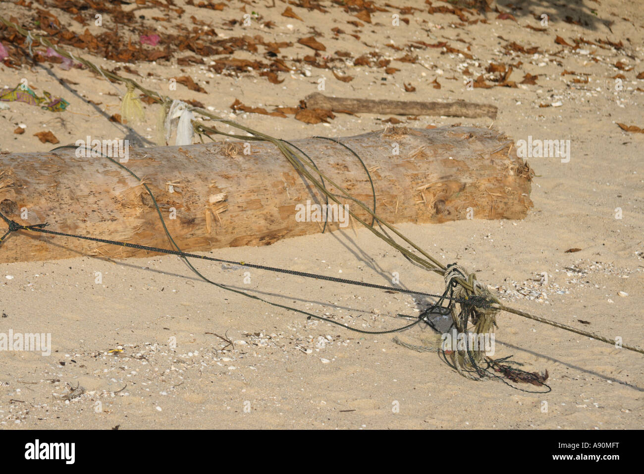 rope harnessed against a log Stock Photo