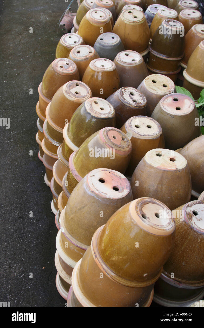 flower pots Stock Photo