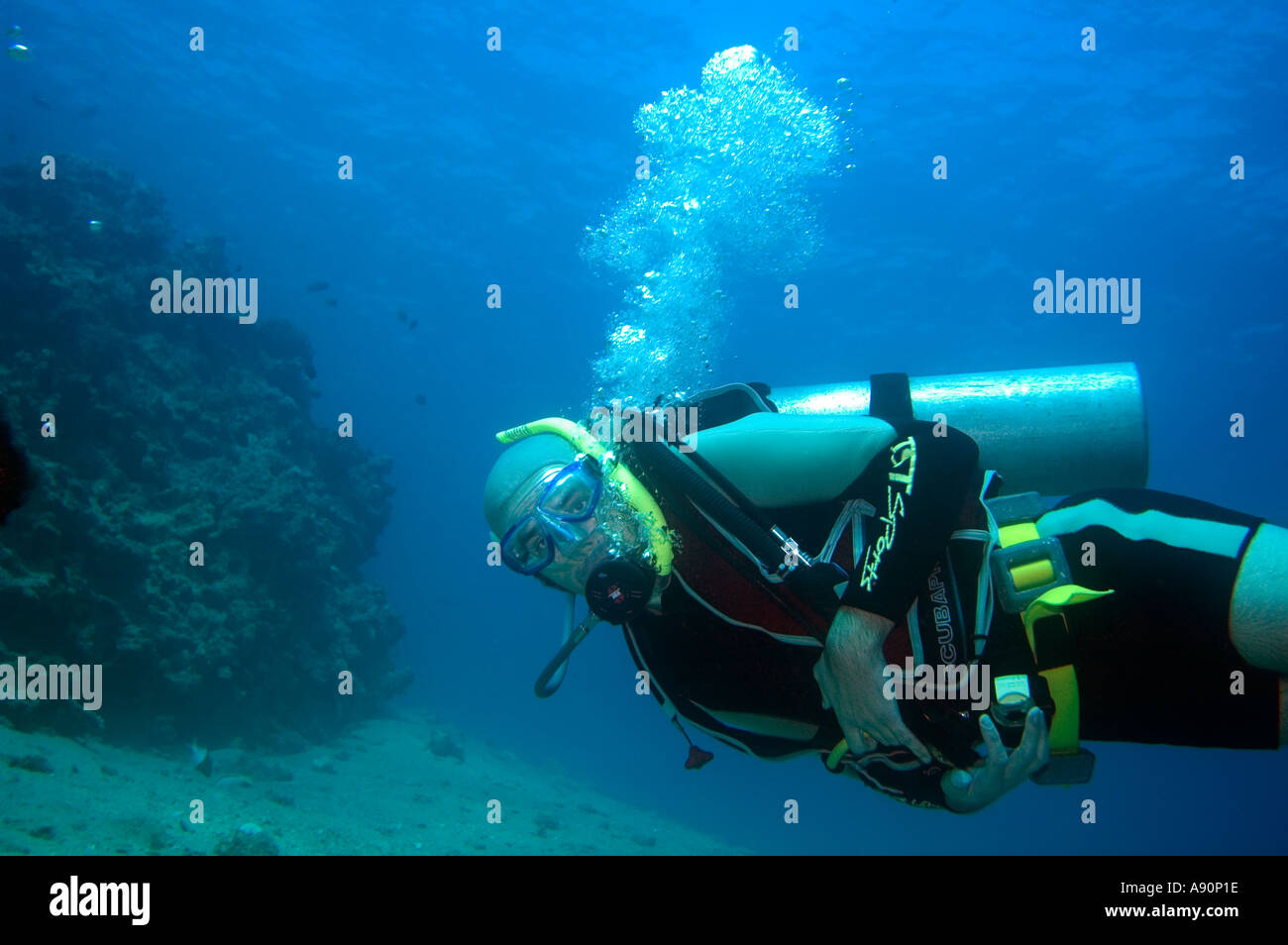 underwater scuba diving Sharm el Sheik resort Ras Mohammed National