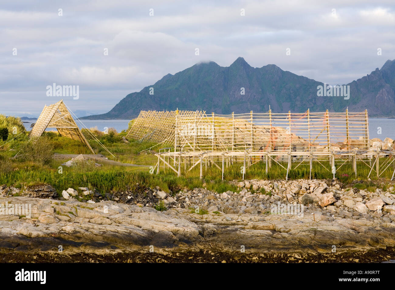 Drying racks fish svolvaer in hi-res stock photography and images - Alamy