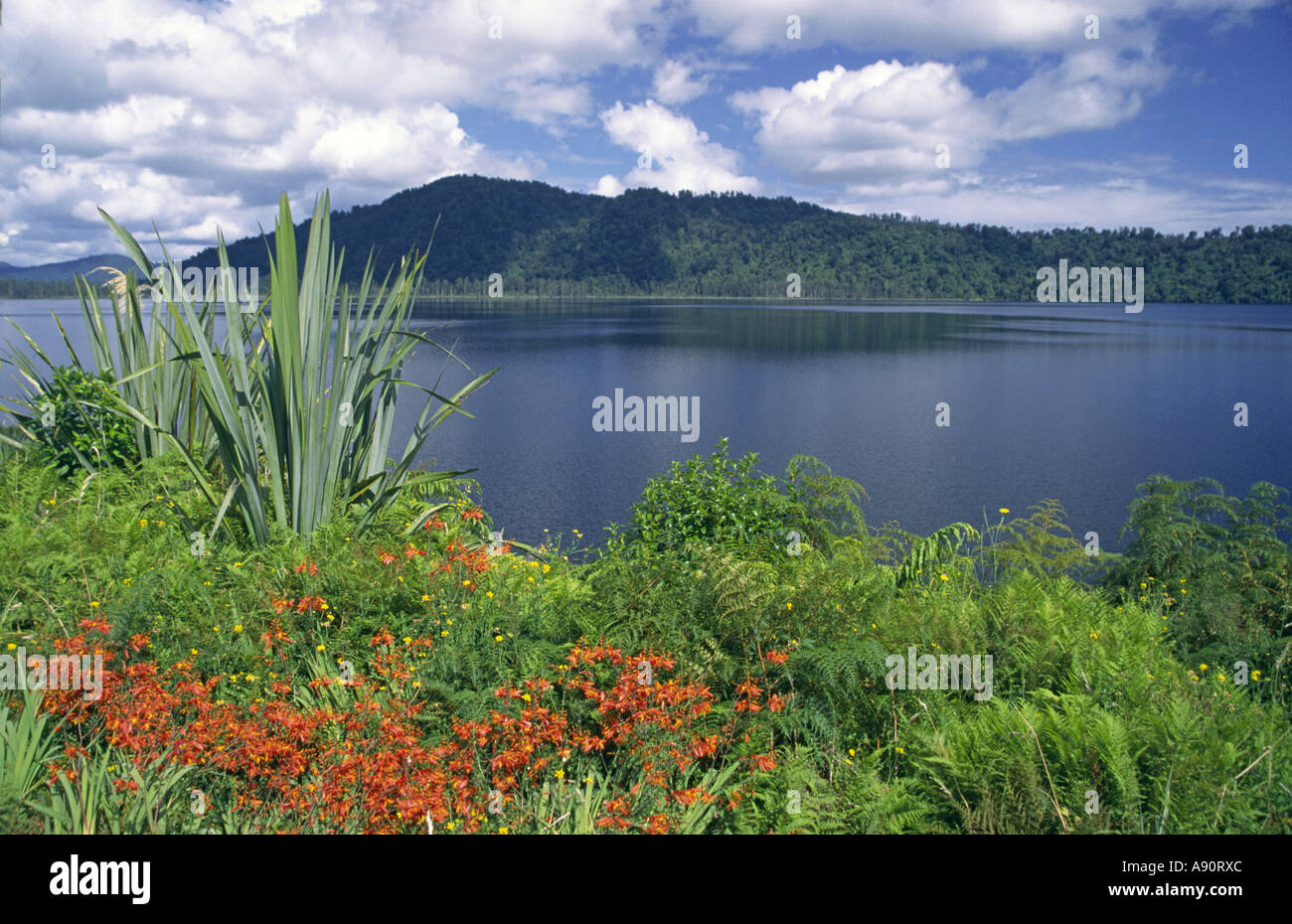 new zealand south island lake Wanaka Stock Photo - Alamy