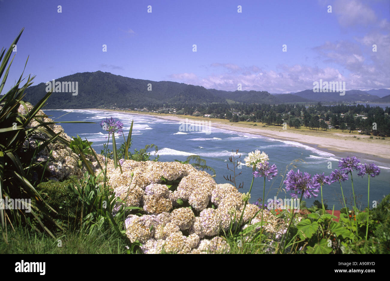 new zealand Coromandel Pauanui beach Stock Photo