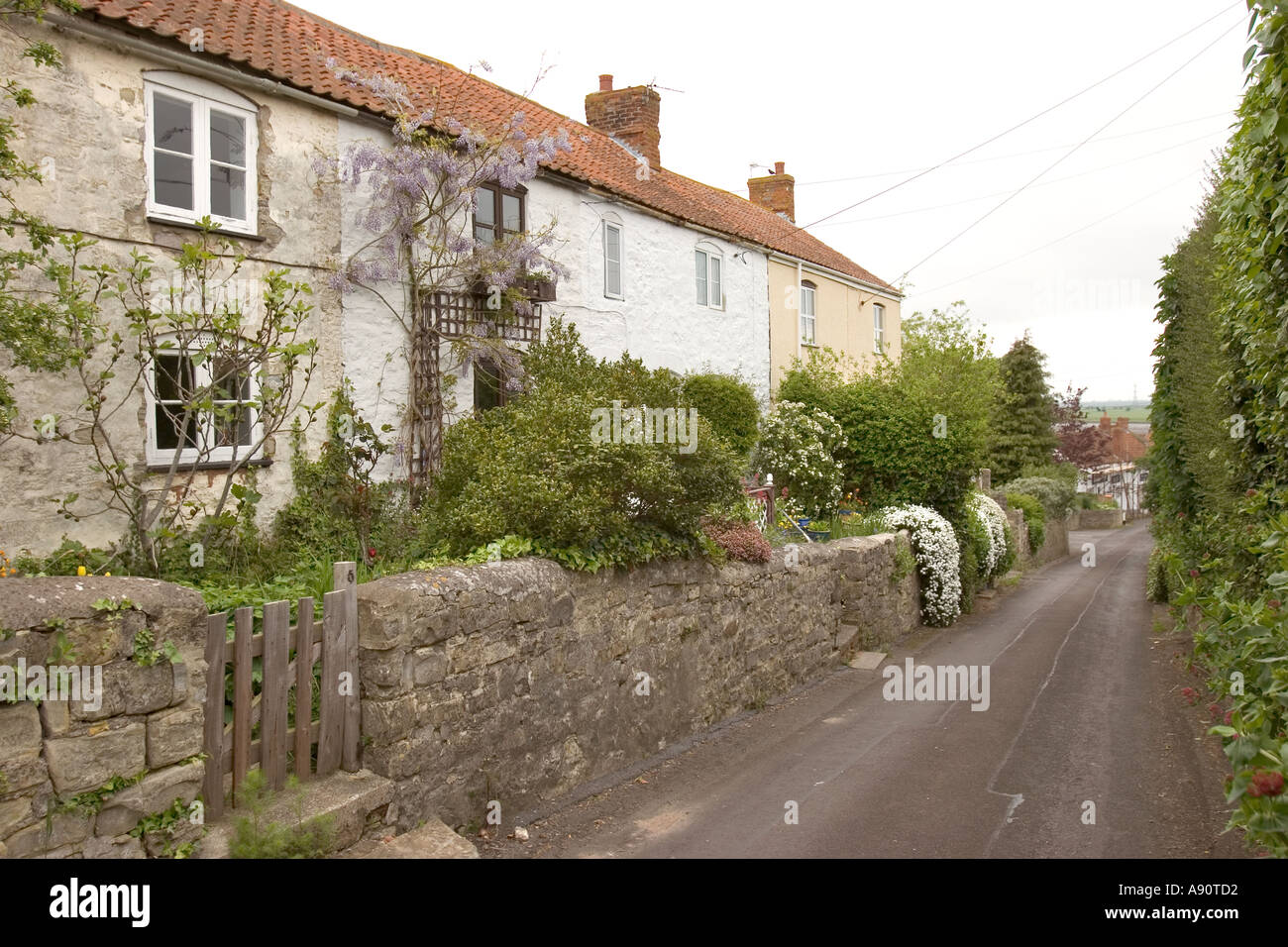 England Somerset Combwich cottages in Ship Lane Stock Photo Alamy