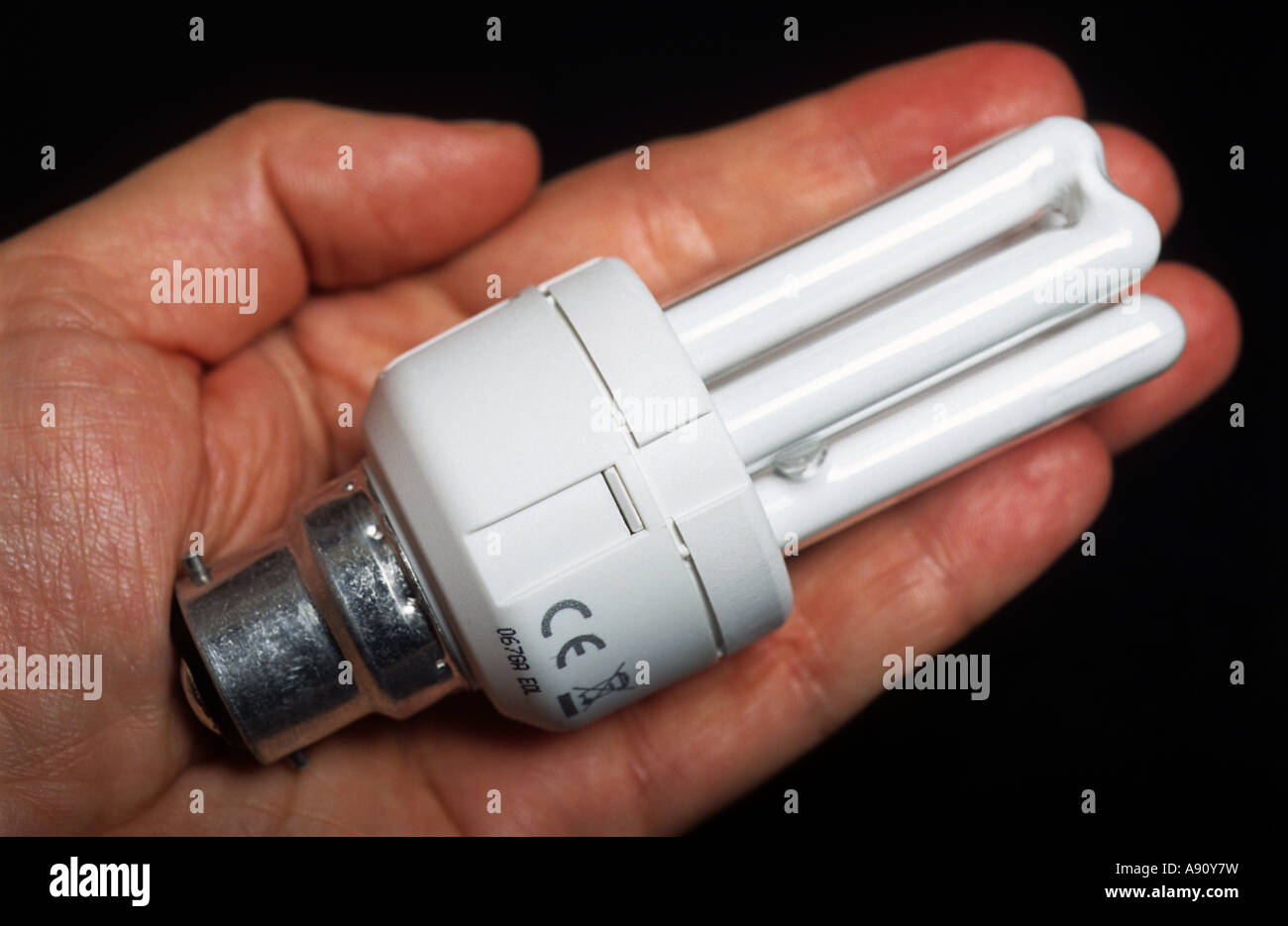 Domestic low energy light bulbs Stock Photo Alamy