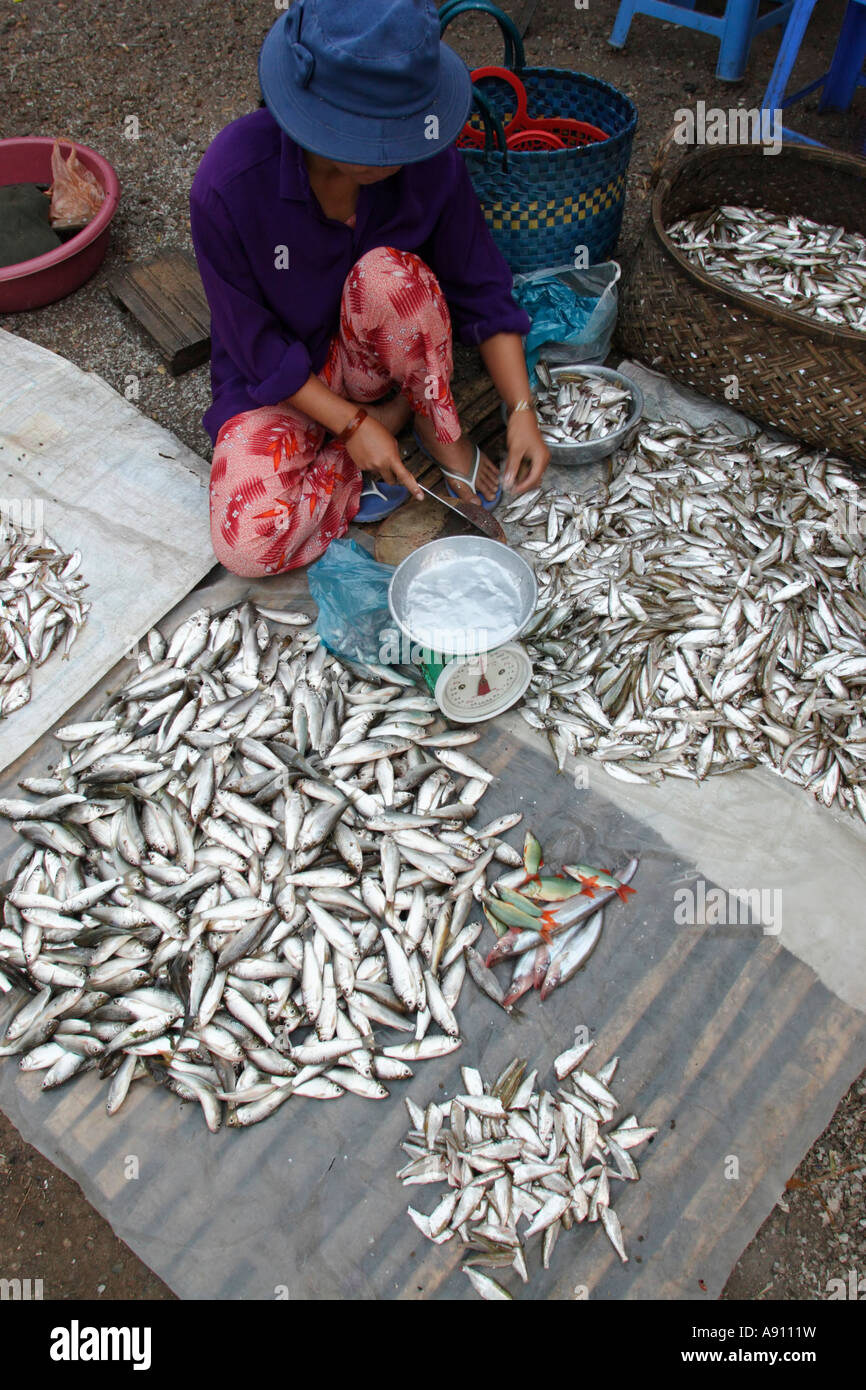 Asia, Cambodia, Kratie, fish vendor at morning market Stock Photo