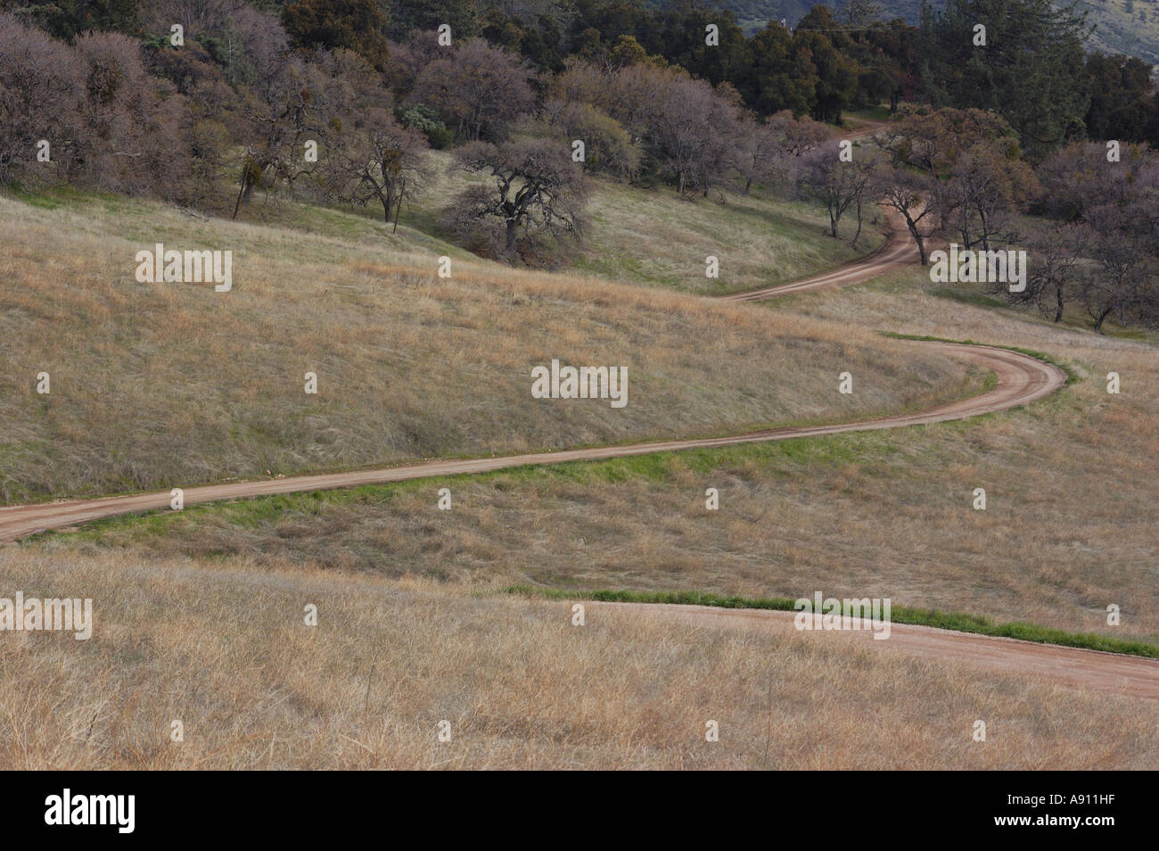 Los Padres National Forest Stock Photo Alamy