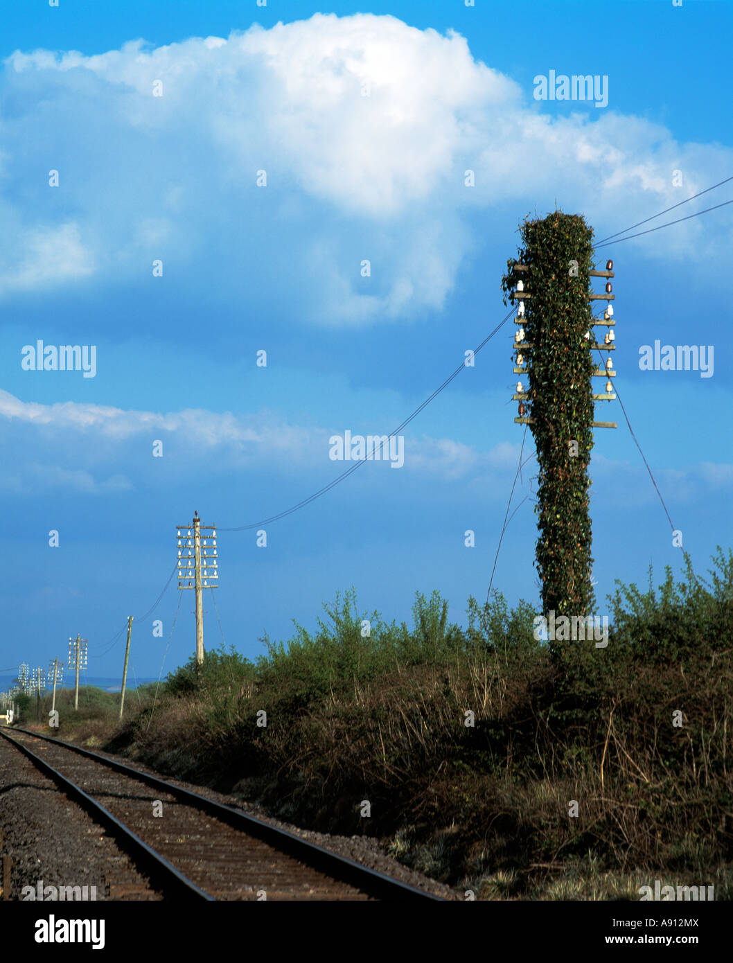 Railway telegraph poles hires stock photography and images Alamy
