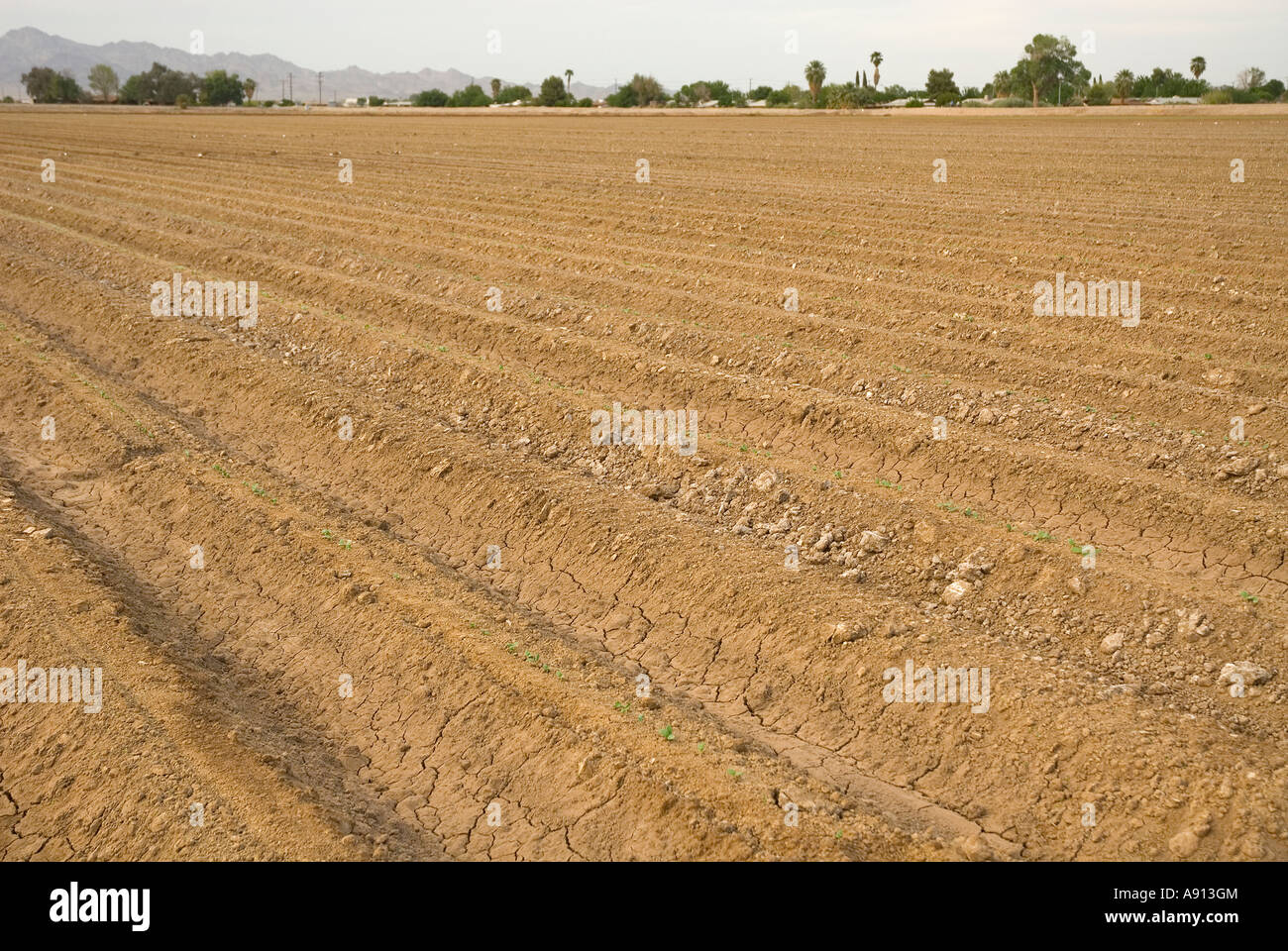 Ploughed field, Blythe, California, USA Stock Photo Alamy