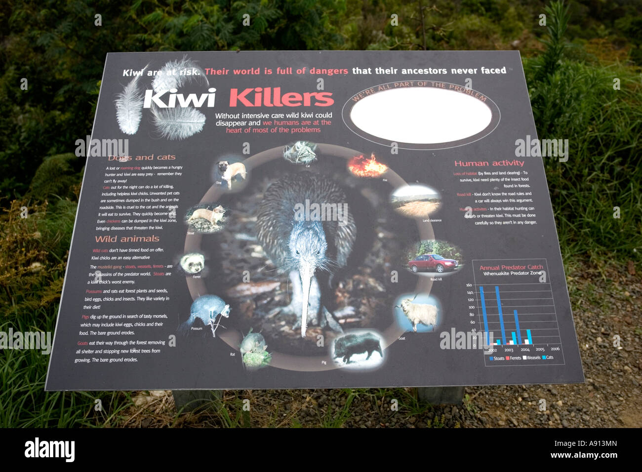 Kiwi Killers information board Coromandel Peninsula North Island New Zealand Stock Photo