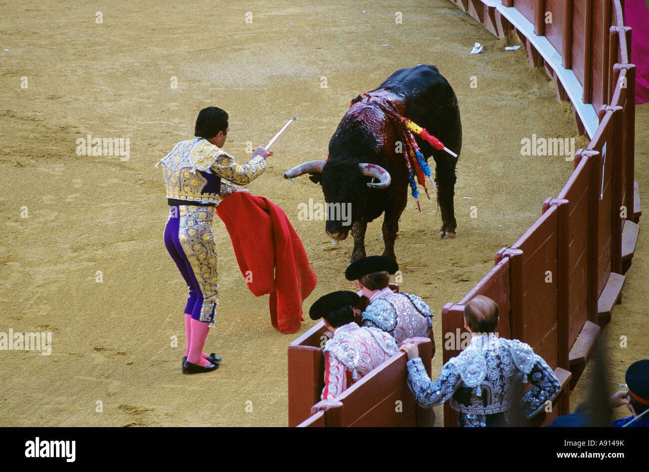 Bull Fight, Seville, Spain Stock Photo Alamy