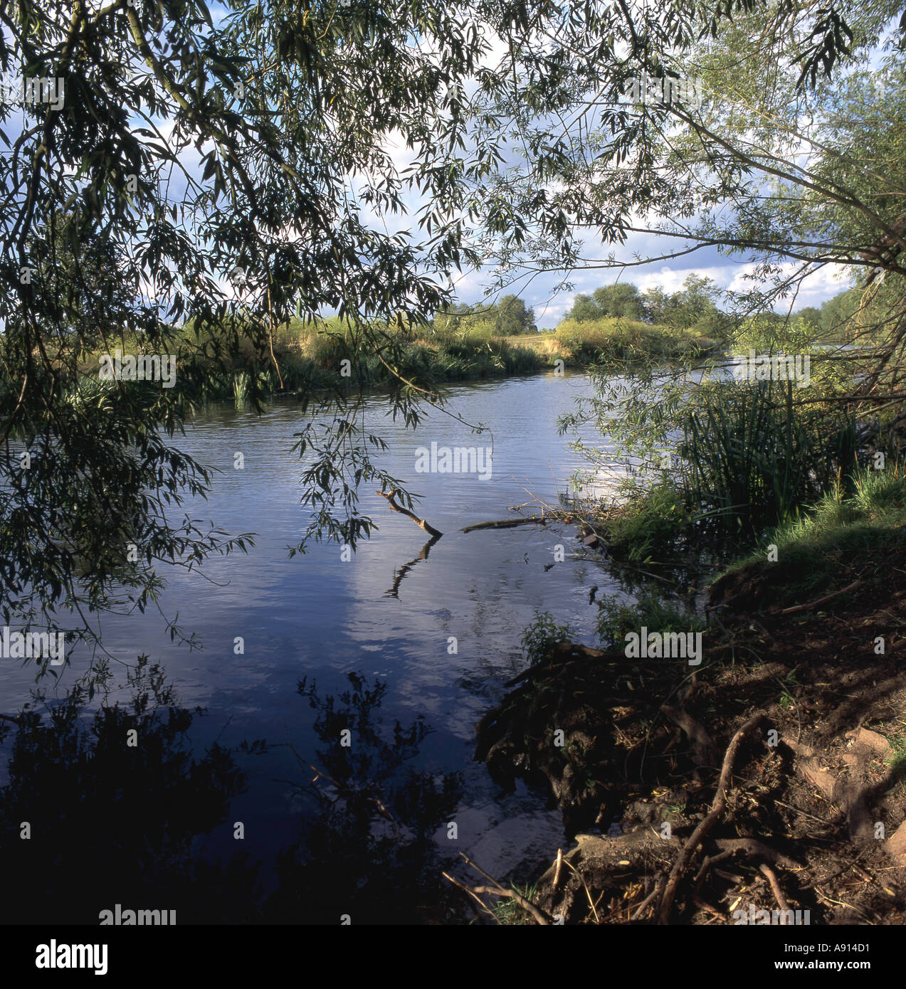 Tree Shaded River High Resolution Stock Photography and Images - Alamy