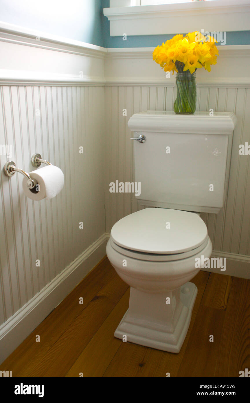 Toilet in Home Stock Photo
