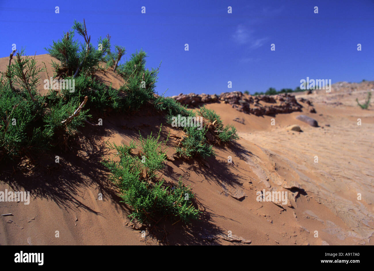 Zagora desert Morocco Stock Photo - Alamy