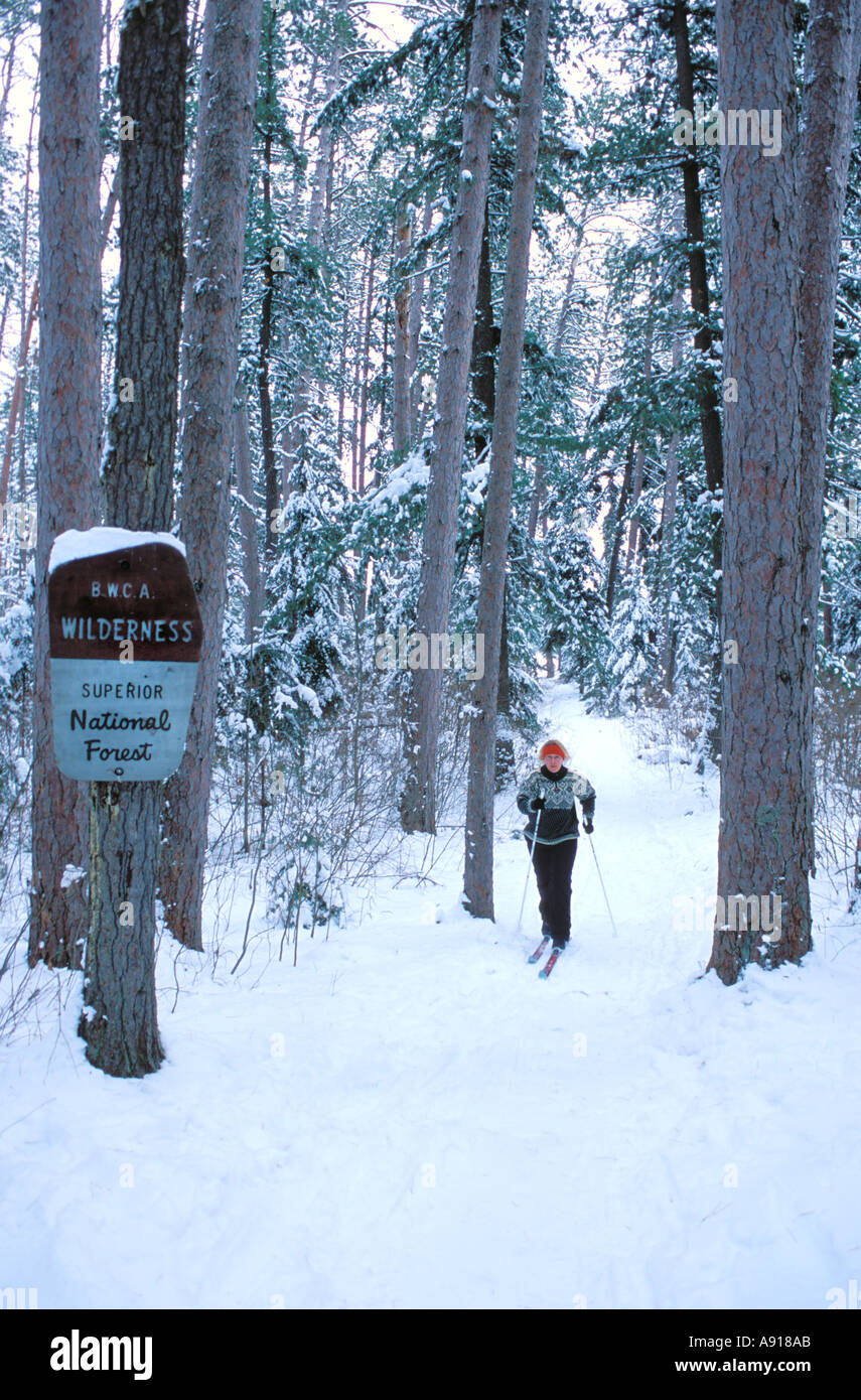 Cross Country Skier on a trail in the Boundary Waters Canoe Area Wilderness Minnesota Stock Photo