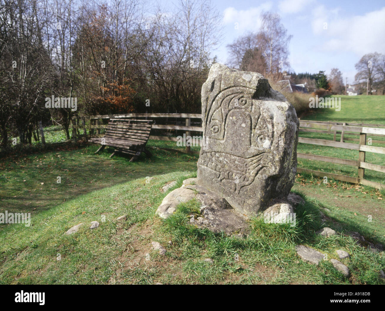 dh Eagle stone STRATHPEFFER ROSS CROMARTY Pictish art on rock scotland celtic stones Stock Photo