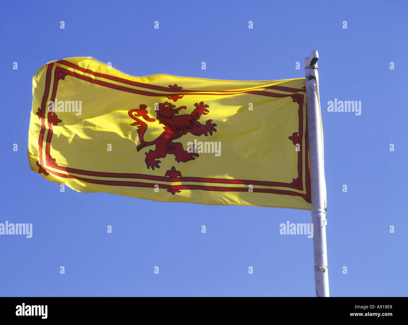 dh  FLAG SCOTLAND Royal Standard of Scotland Scottish Rampant Lion Flag bhz Stock Photo