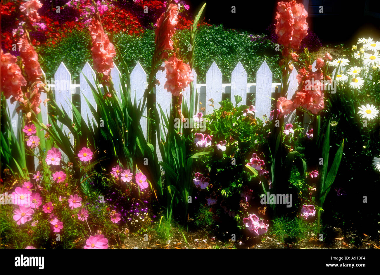 Iconic white picket fence hi-res stock photography and images - Alamy