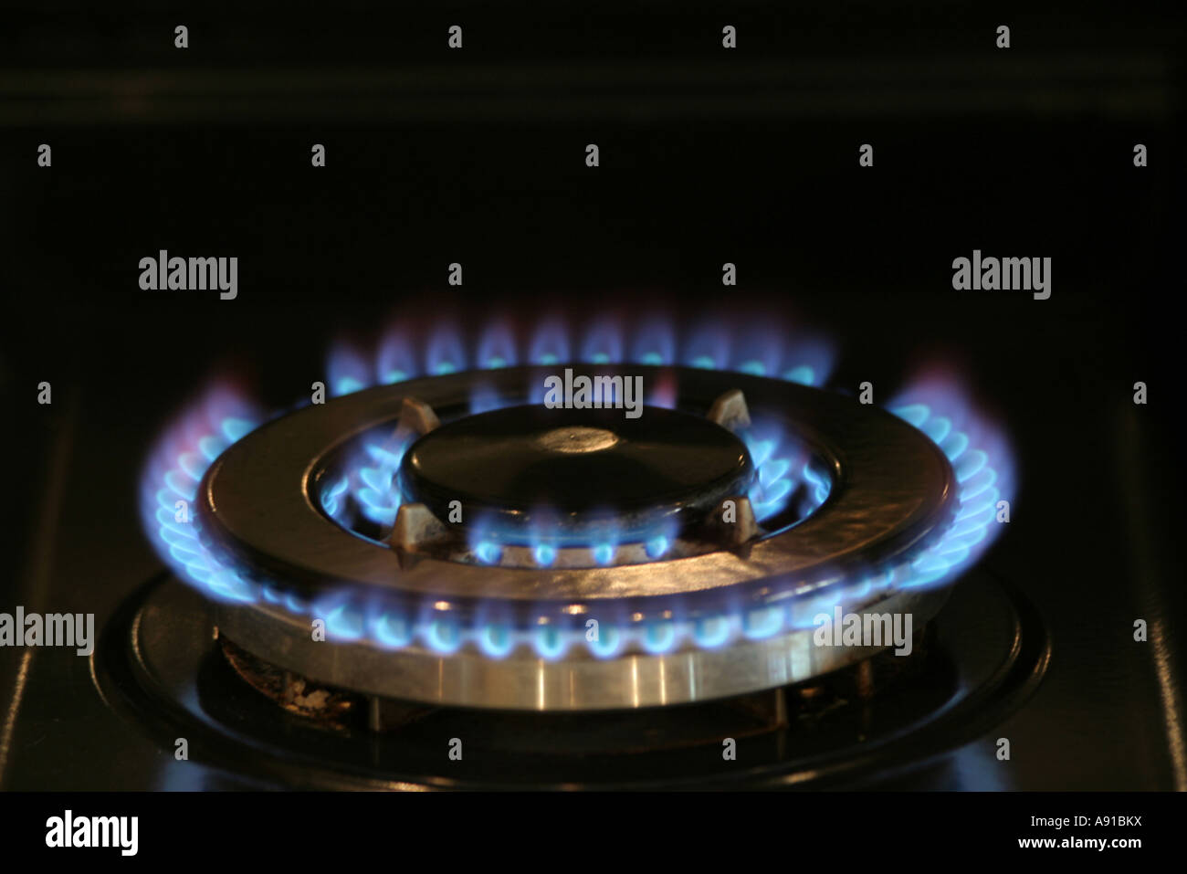 The blue flame around a gas hob Stock Photo Alamy