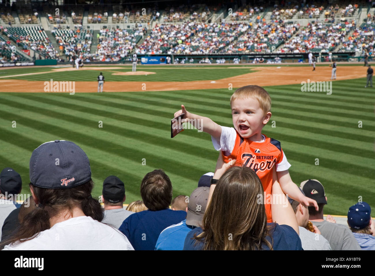 Baby tigers detroit hires stock photography and images Alamy