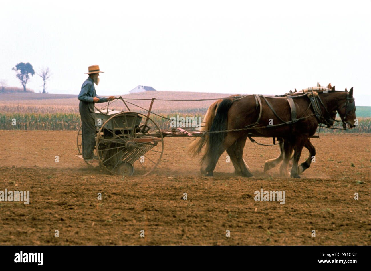 Amish farmer using a horse drawn seed planter in Lancaster County, Pennsylvania. Stock Photo
