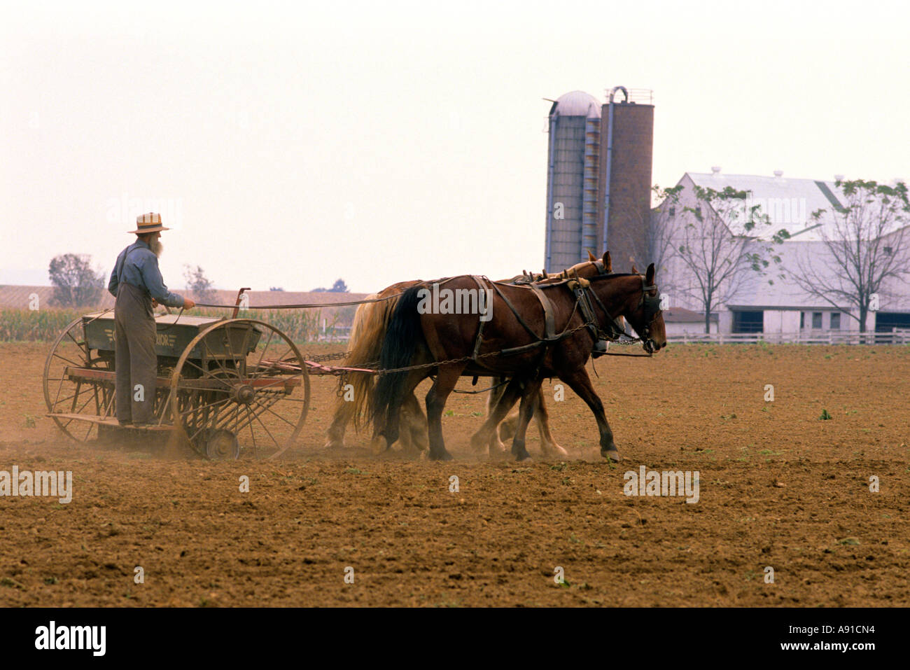 Amish farmer using a horse drawn seed planter in Lancaster County, Pennsylvania. Stock Photo
