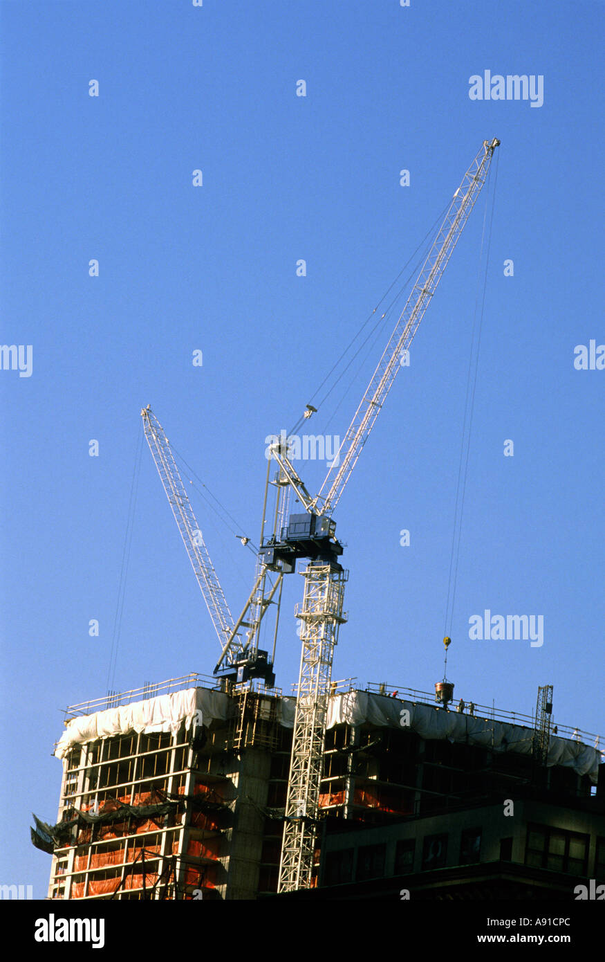 Construction tower crane in Chicago, Illinois. Stock Photo