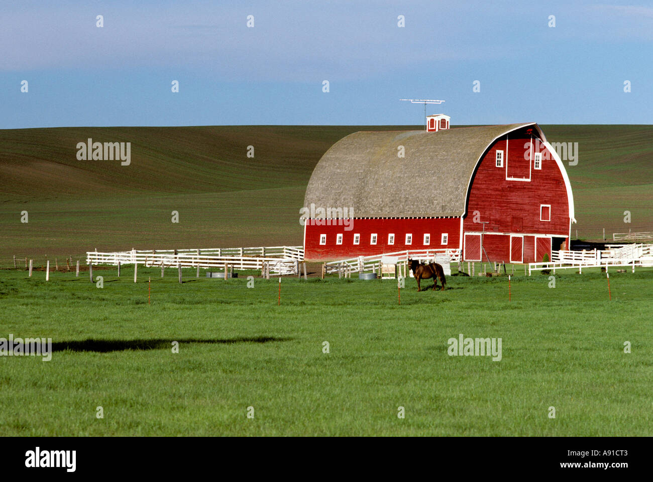 Red barn on a farm in Northern Idaho near Moscow. Stock Photo