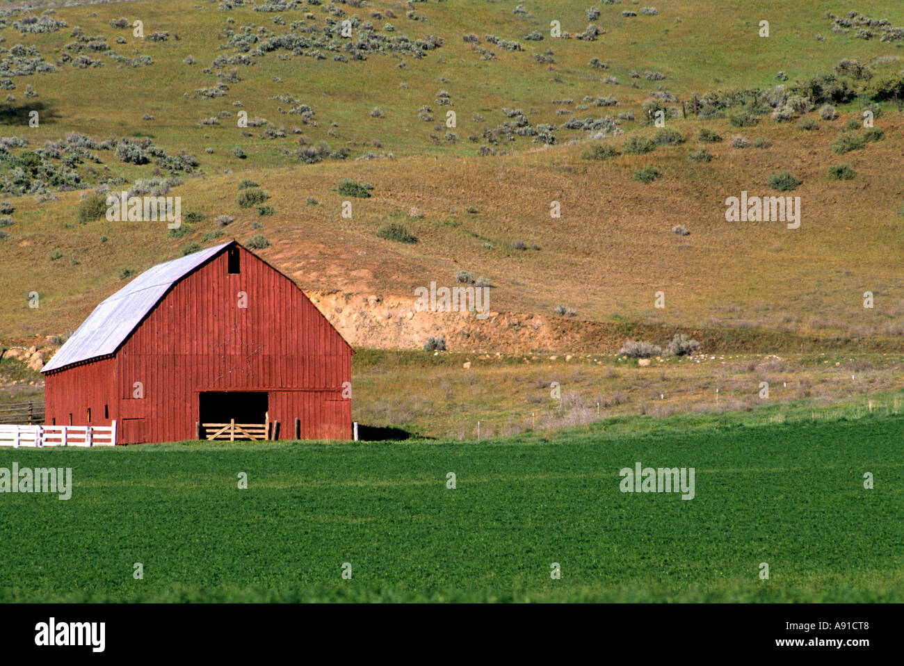Red barn near Horseshoe Bend, Idaho. Stock Photo