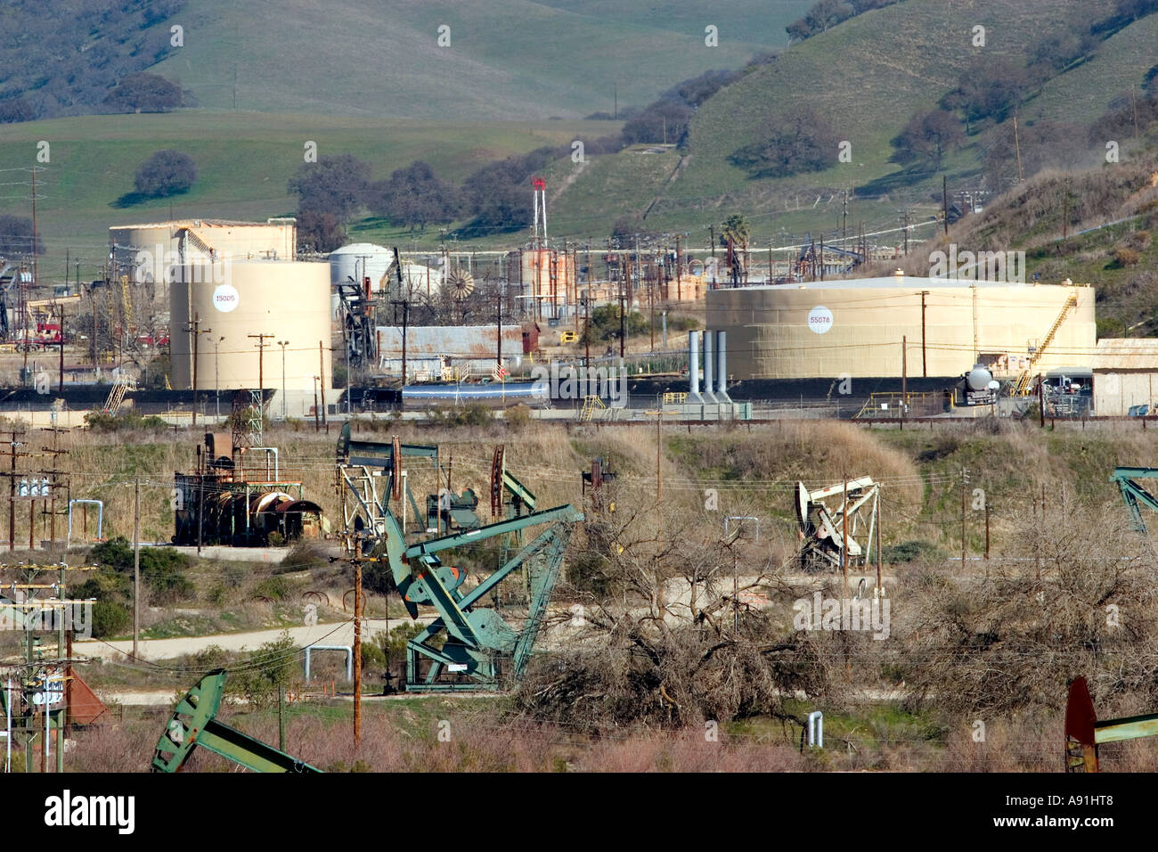 Kadın Girişimciliğinin Gücü – Songül Bayram - Haber Yıldızı - Son Dakika  Haberler, image size:1300x956