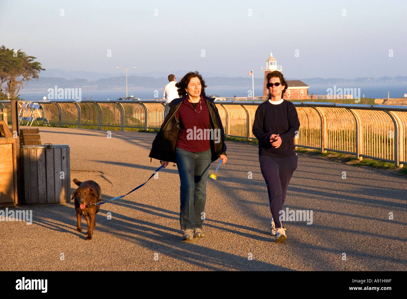 Women with a dog hi-res stock photography and images - Alamy