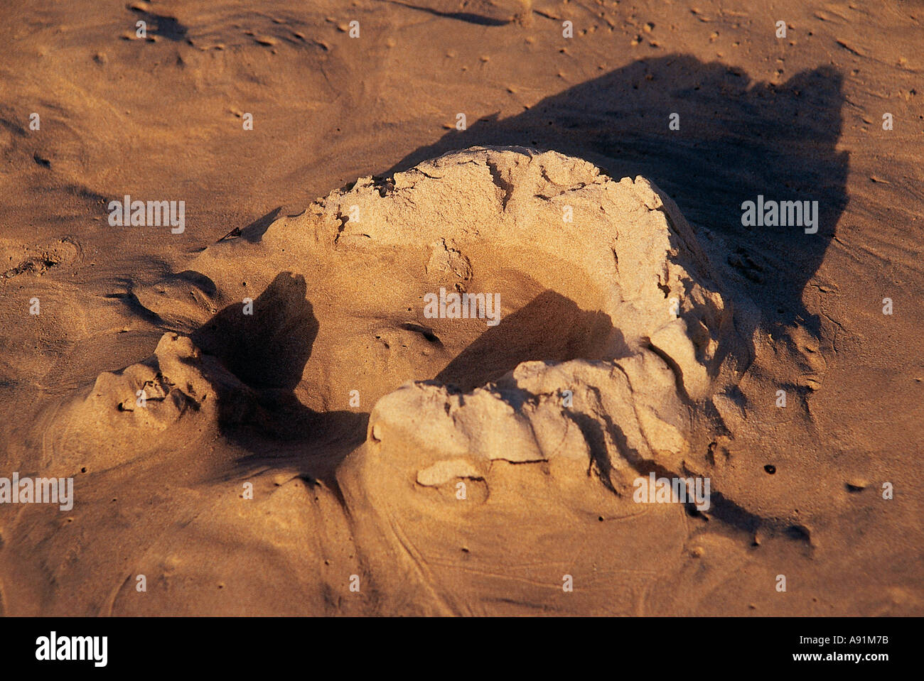 NMJ99804 Beach Sand Pattern Sri Lanka Ceylon Stock Photo