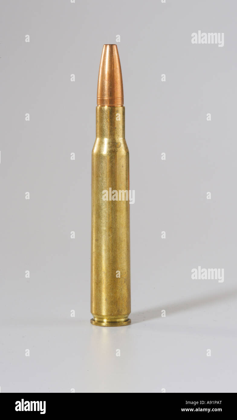 Gun ammunition 7 62x51 for G3 and MG3 Stock Photo Alamy