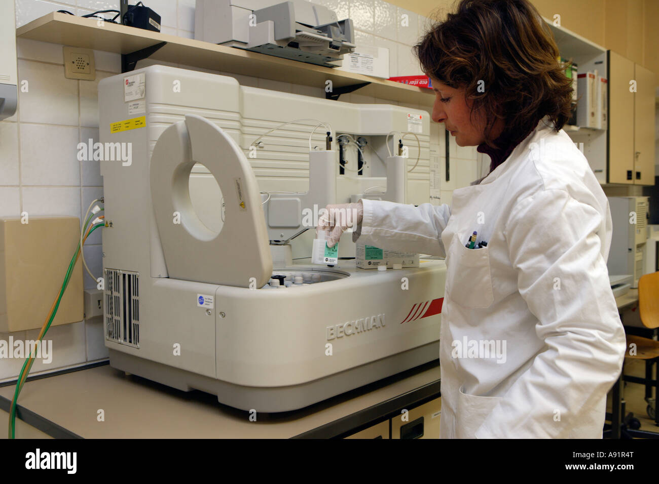 The medical technical assistant during her work on the analytical