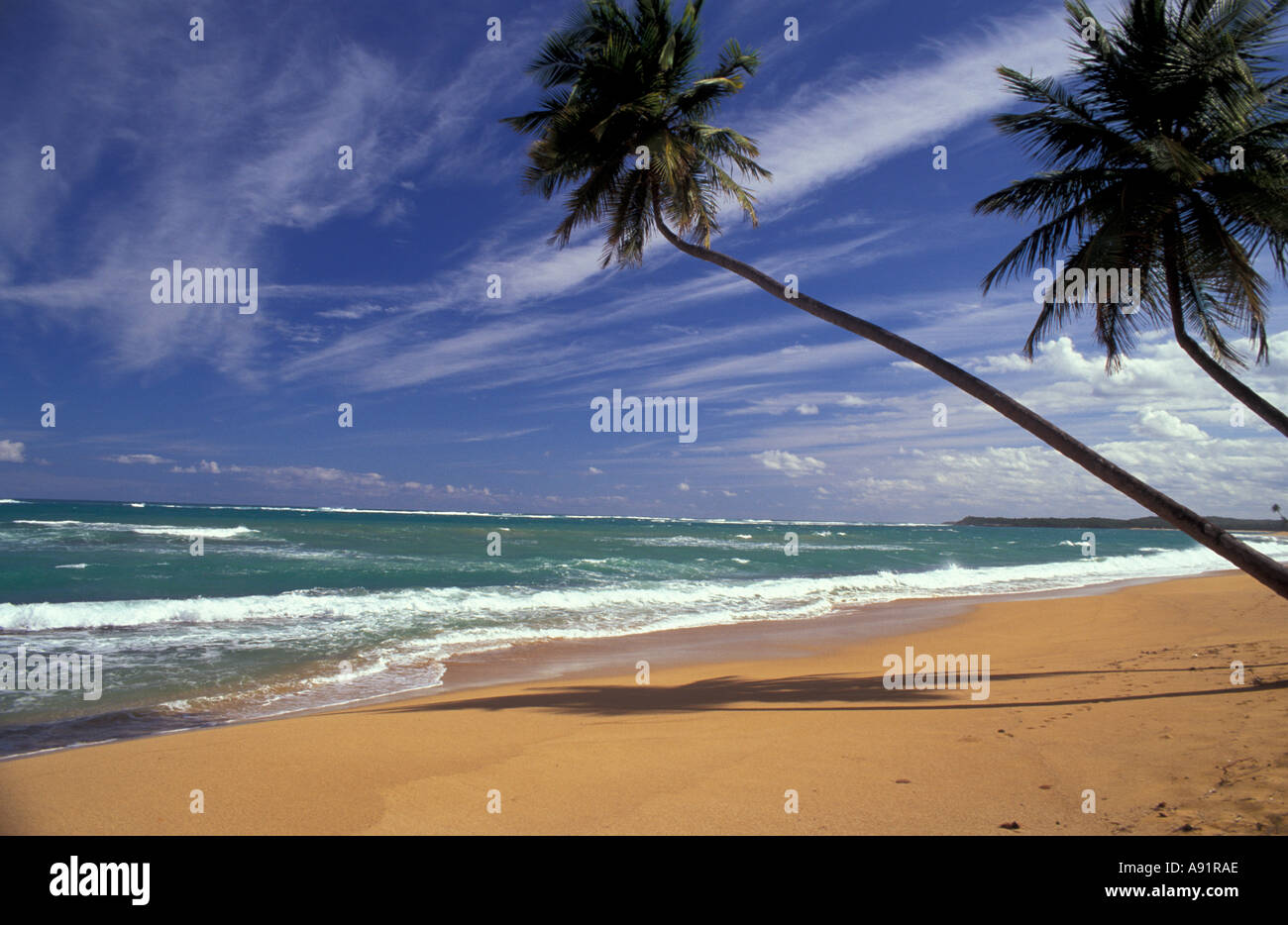 Puerto Rico. Pinone's Beach Stock Photo - Alamy