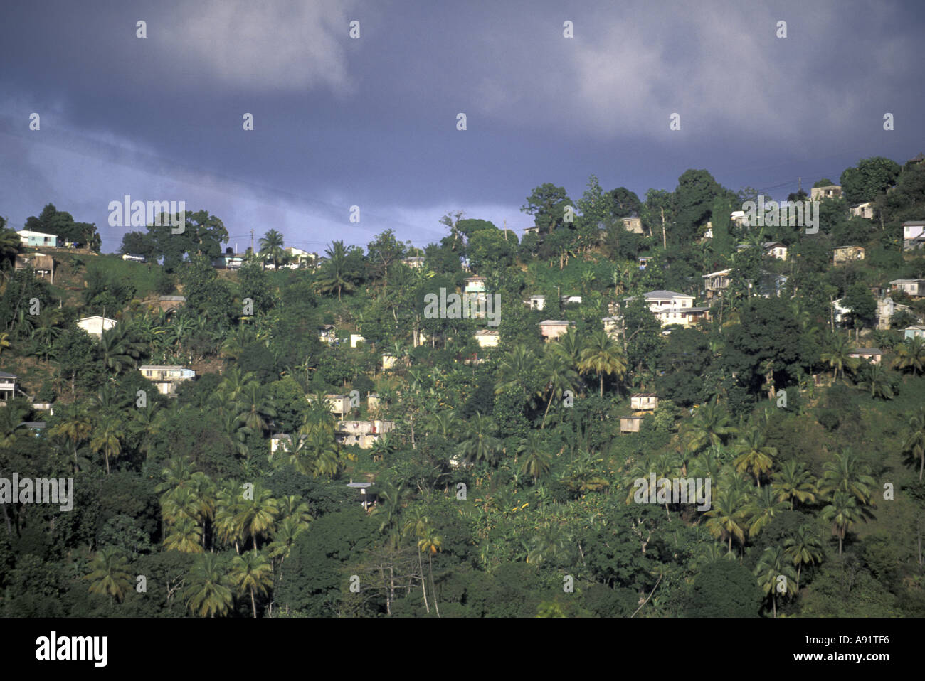 St. Lucia Rural Caribbean, St. Lucia, Central St. Lucia Village houses on ridge Stock ...